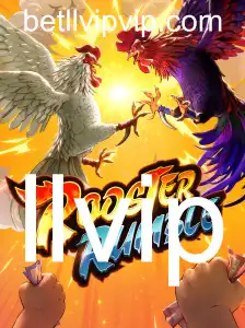 Descubra o Fascinante Mundo de RoosterRumble: Uma Introdução Completa e Regras